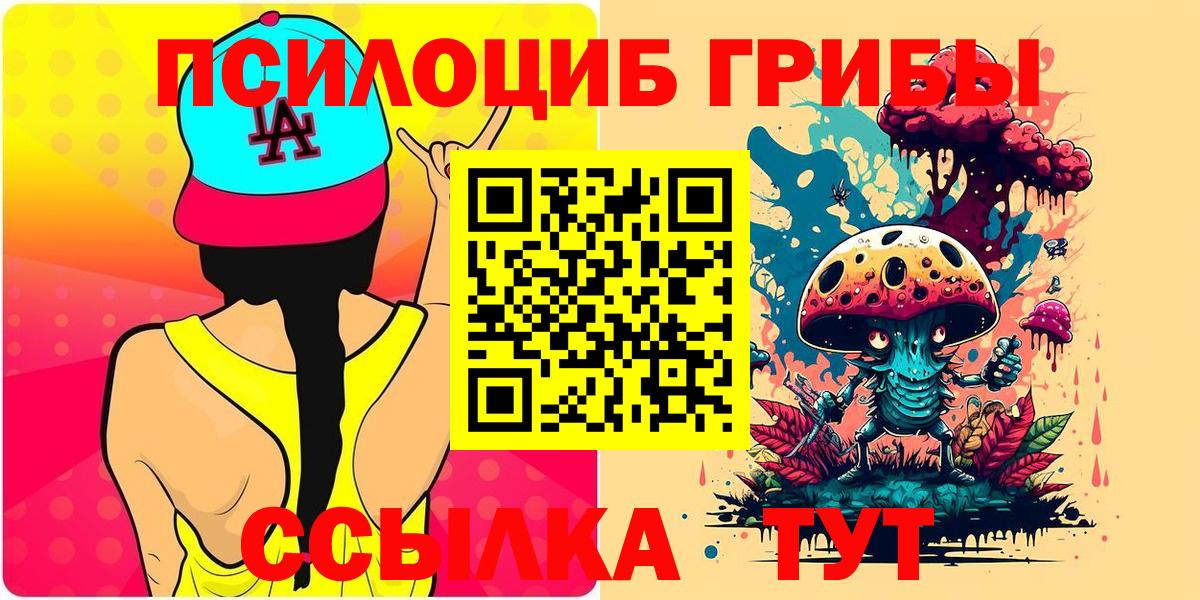 Псилоцибиновые грибы GOLDEN TEACHER  Псилоцибиновые грибы Psilocybine cubensis  Вход с VPN  Полысаево 