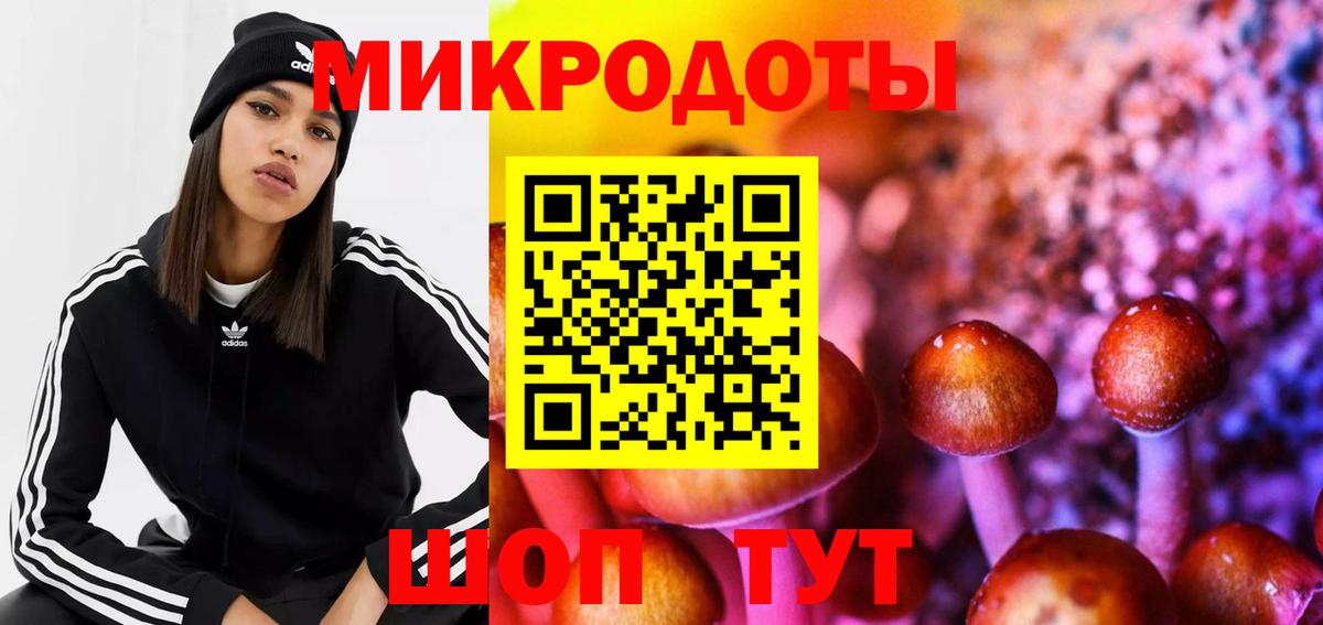 Псилоцибиновые грибы GOLDEN TEACHER Полысаево